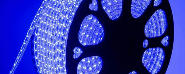 Bobine de ruban LED 220V de couleur bleue